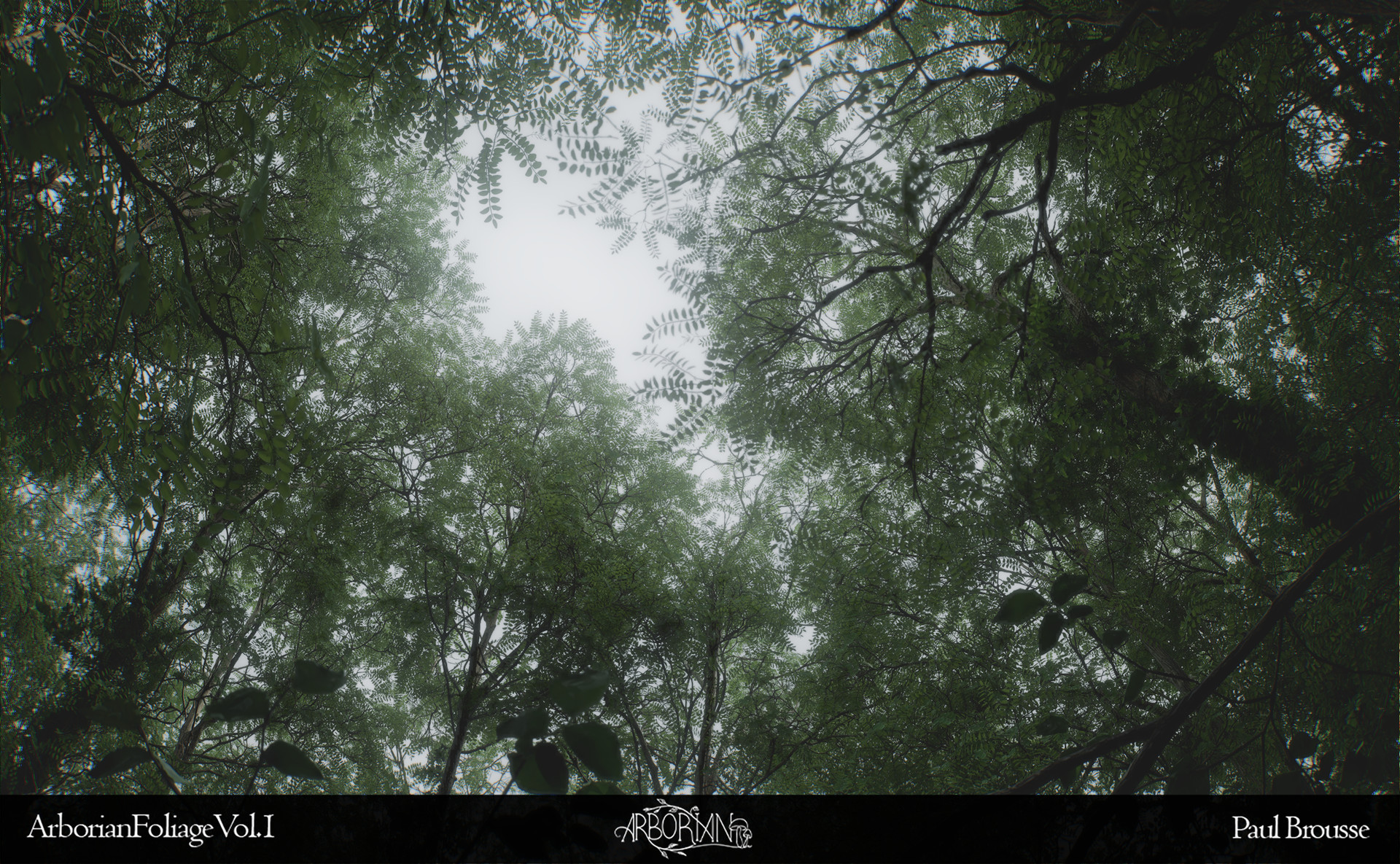 Lighting and atmosphere showcase