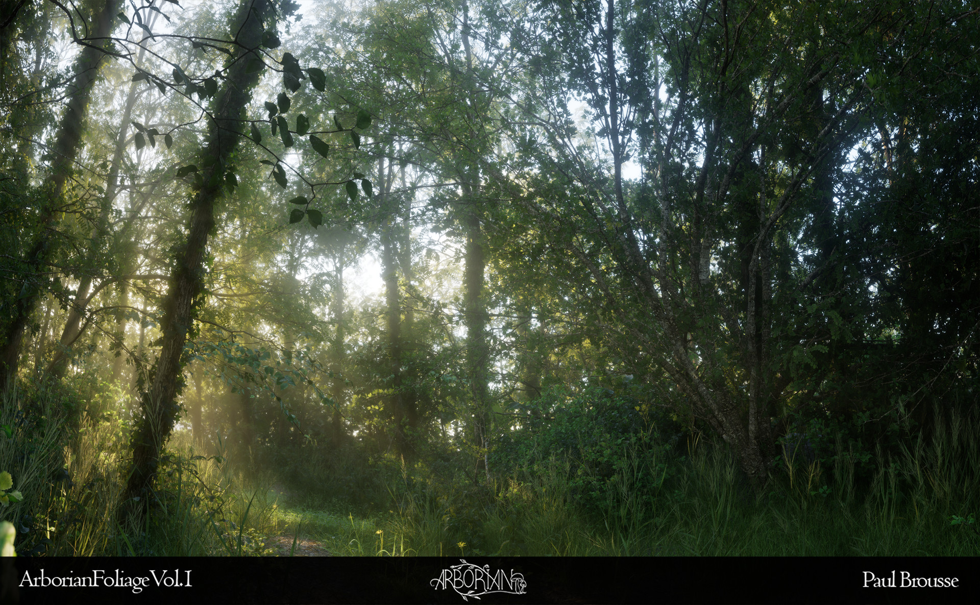 Close-up botanical accuracy