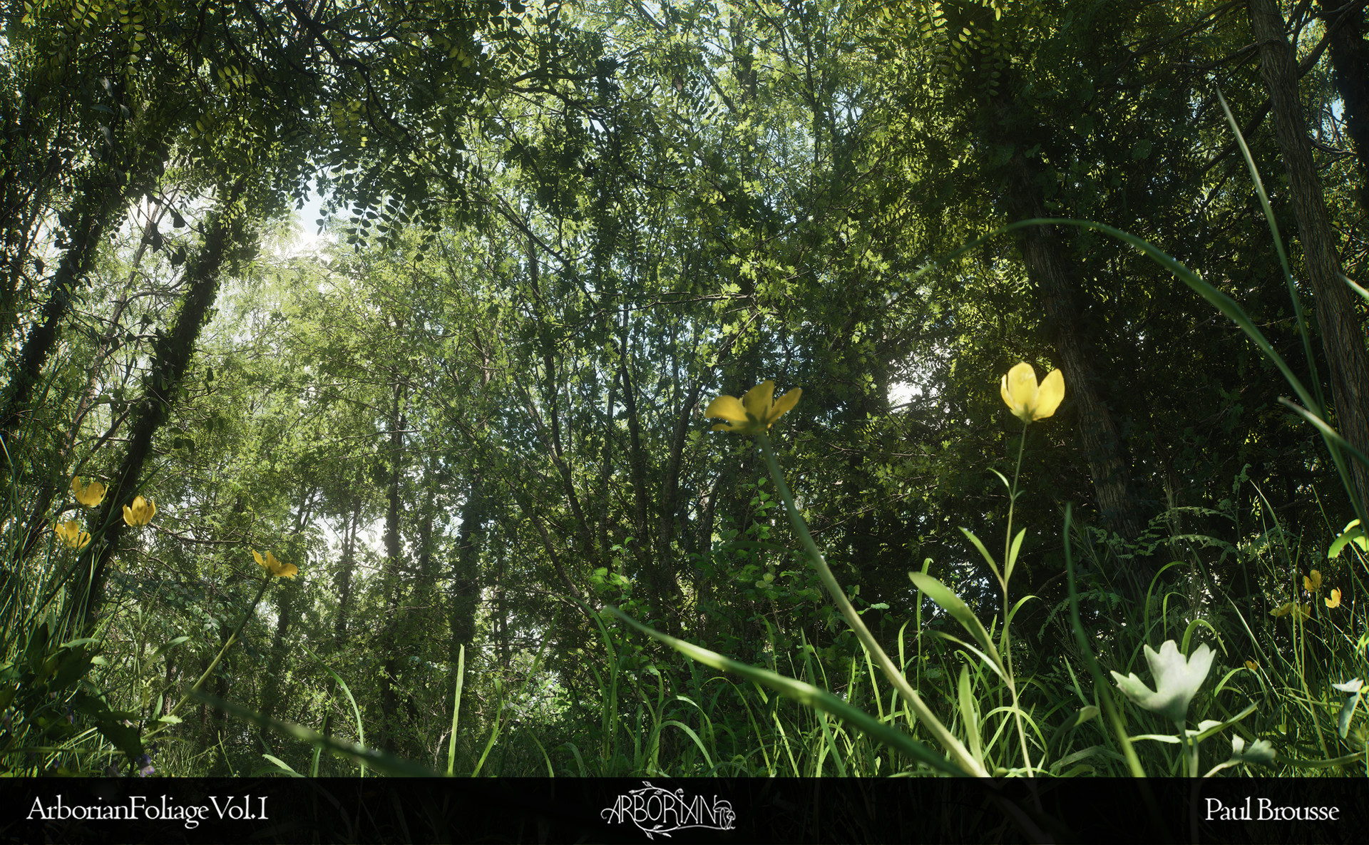 Environmental storytelling elements