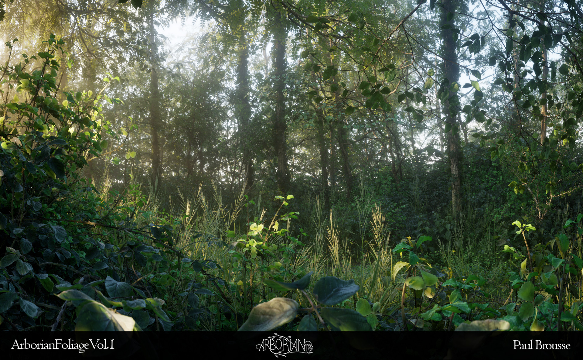 Complete asset collection overview