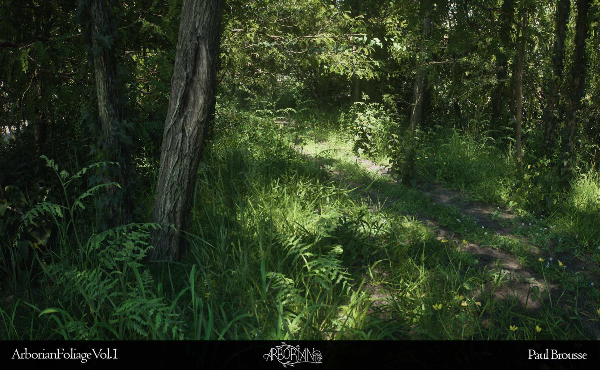 Dense forest canopy detail