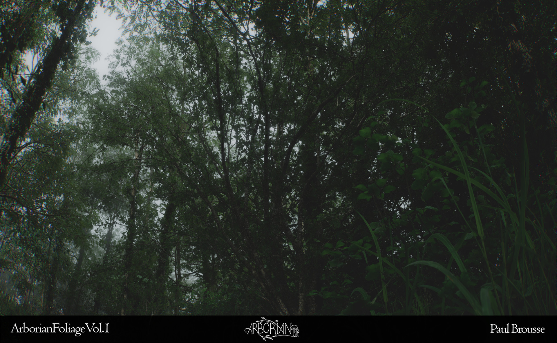 Natural forest floor composition